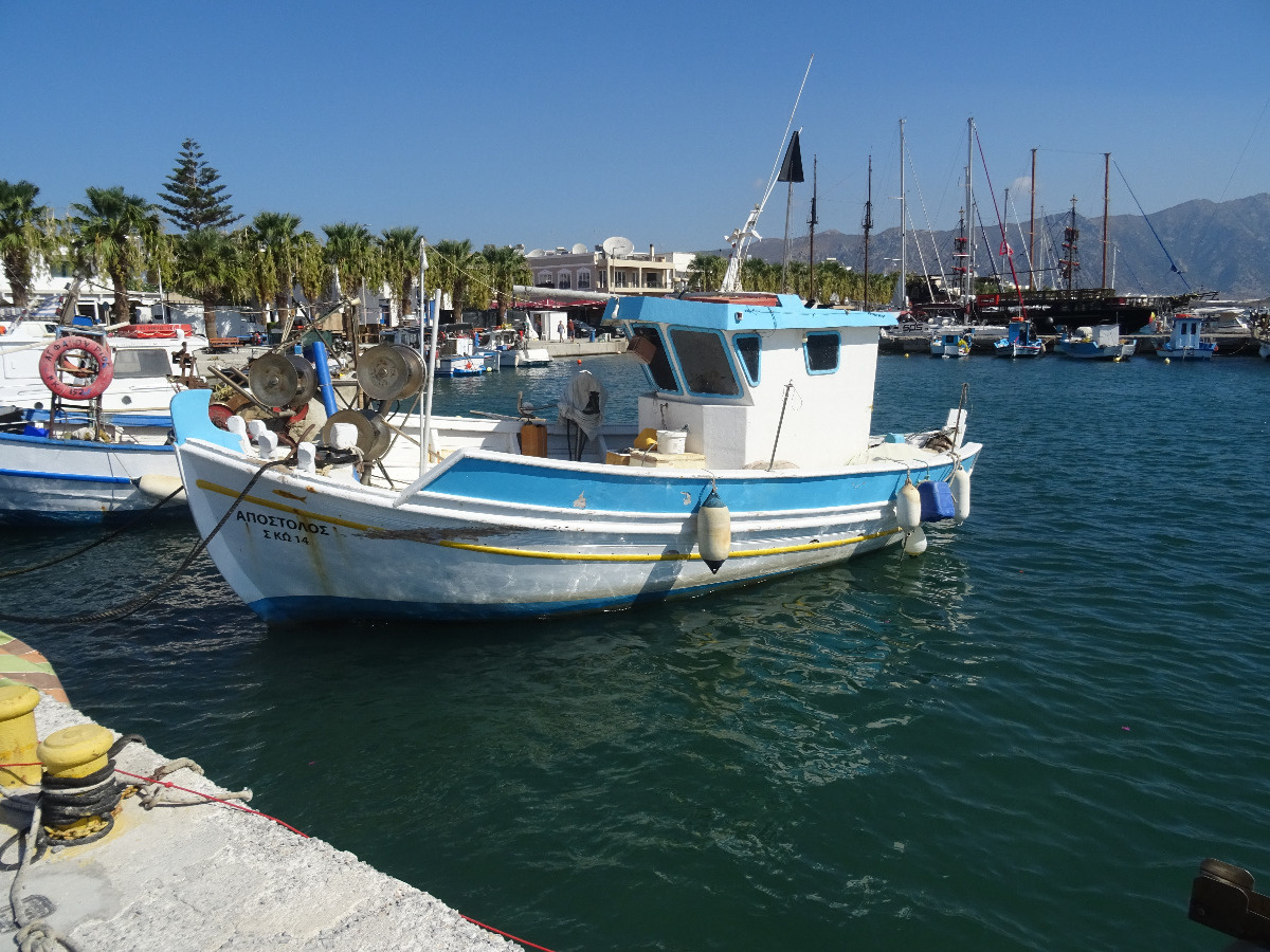 ed4f658e-47d5-4517-b3c8-cc99f6987818