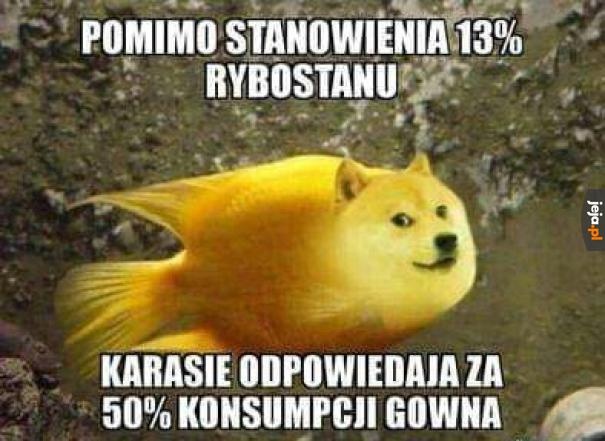 776d6aec-e3e0-4637-a81f-91b3667124ab