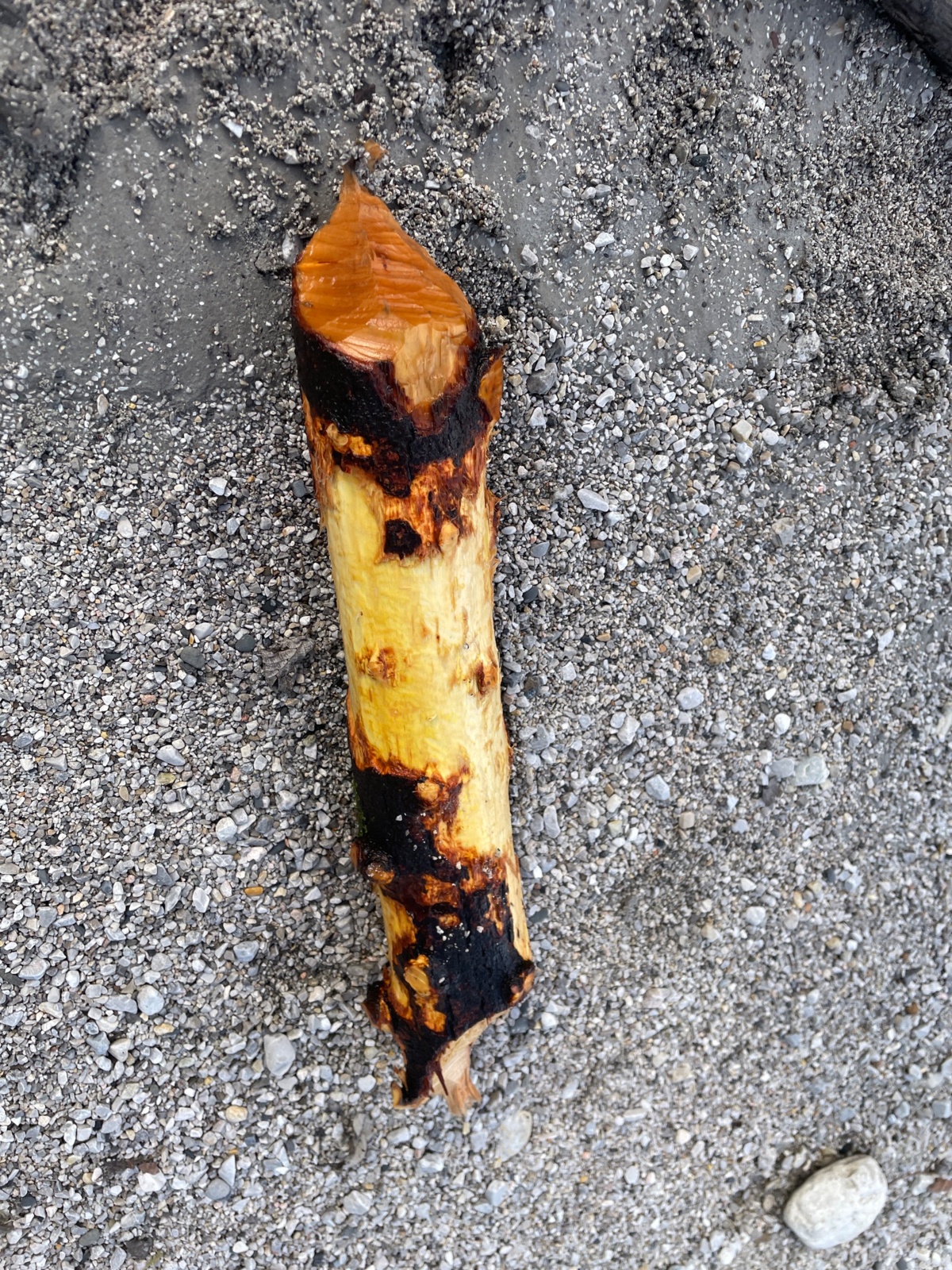 11807260-7f8d-44c9-9538-8ff2709aab2d