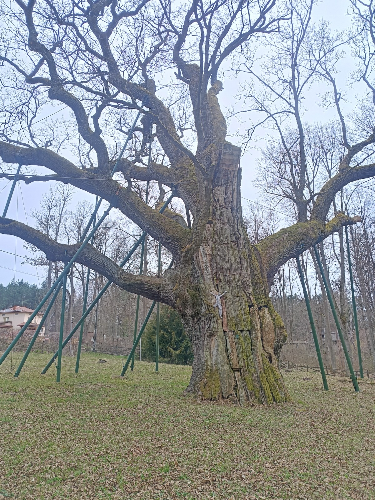 04ffbd57-f799-4731-85b0-94a55f520c32