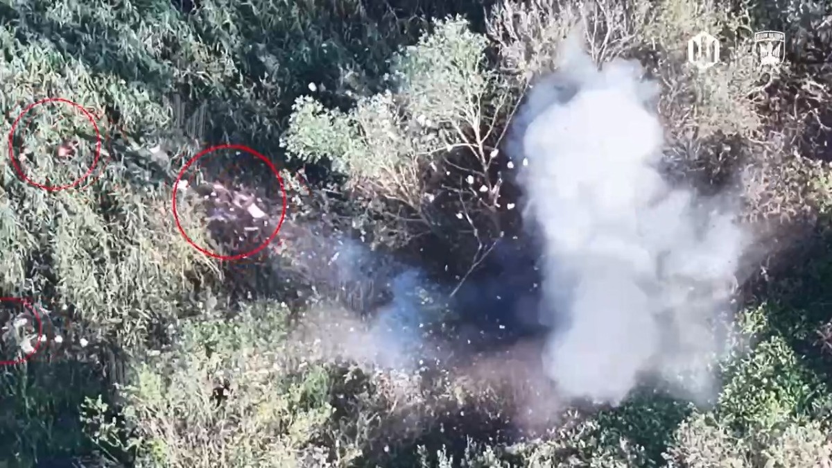 6a6a0f96-a73e-4ea3-960c-eeb7d243790a