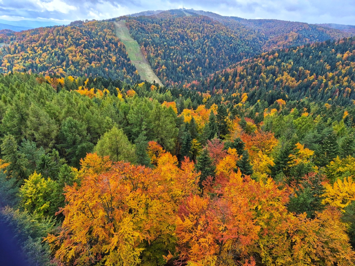 050528ee-6331-4d93-9bff-c6c47a77b1de