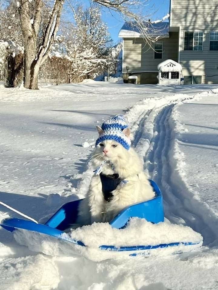 cc32acad-6ca0-4e3d-90bb-a96ff12ebca4