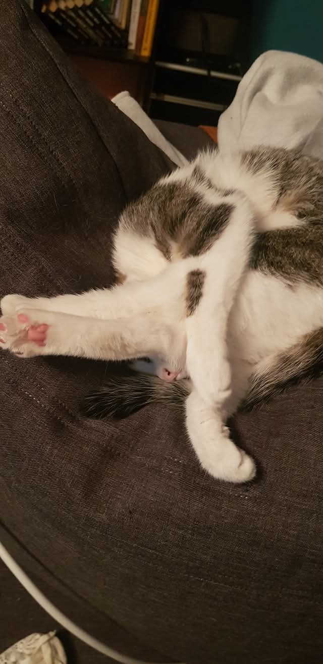 07dd35ba-3b18-4589-af72-32c09140e047