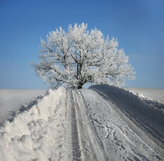 7ac59396-15d4-4da6-8d60-9dc7d3f4eedb