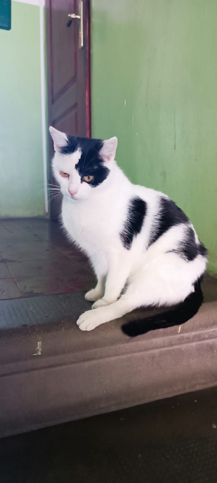 5be588cc-a698-490b-bedf-ce74b42df666