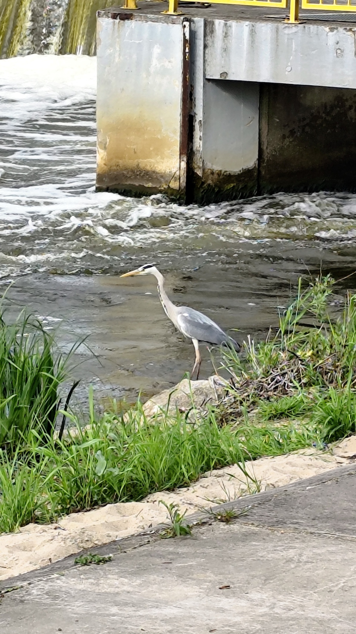 89a18c38-4578-410f-a14d-dc6c434e0e1b