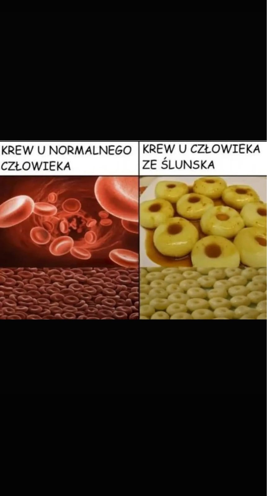 34f52189-5680-4b7d-8d69-2c8127b96a39