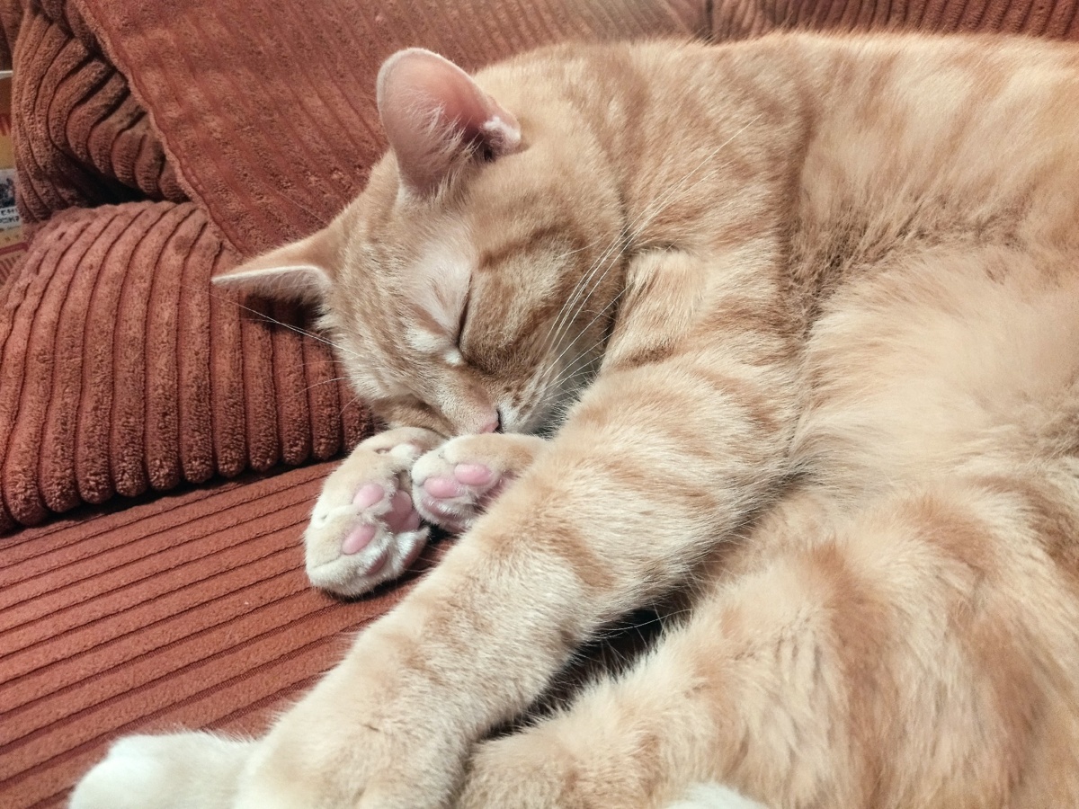 7729bcb4-2c31-4fa0-937f-6ddb6d0b3fb5