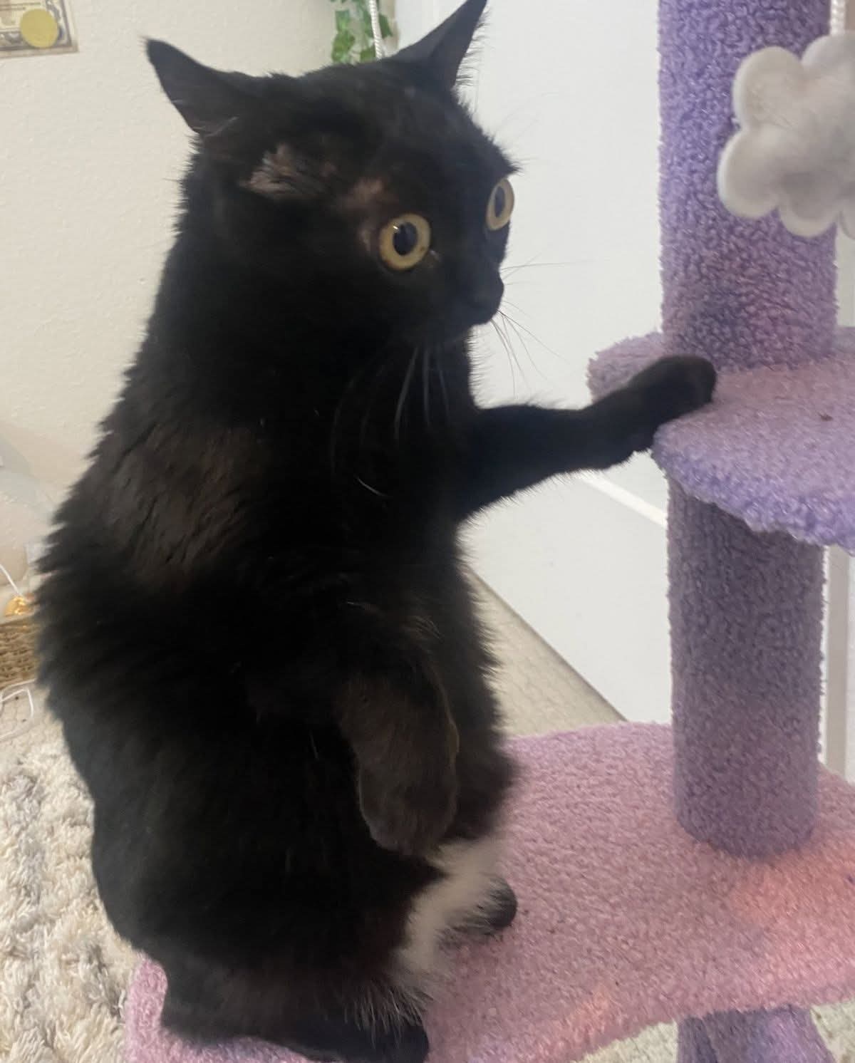 230692b5-1378-4fc4-8666-d5a8144cd27f