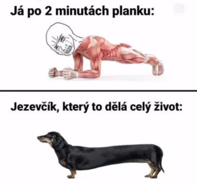 eaec0081-2d0a-4000-ace2-c7f2e0e8afe9