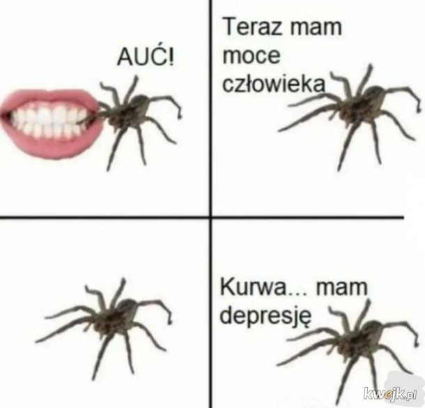 dff9544a-3b27-4db3-8add-5dc416a4873d