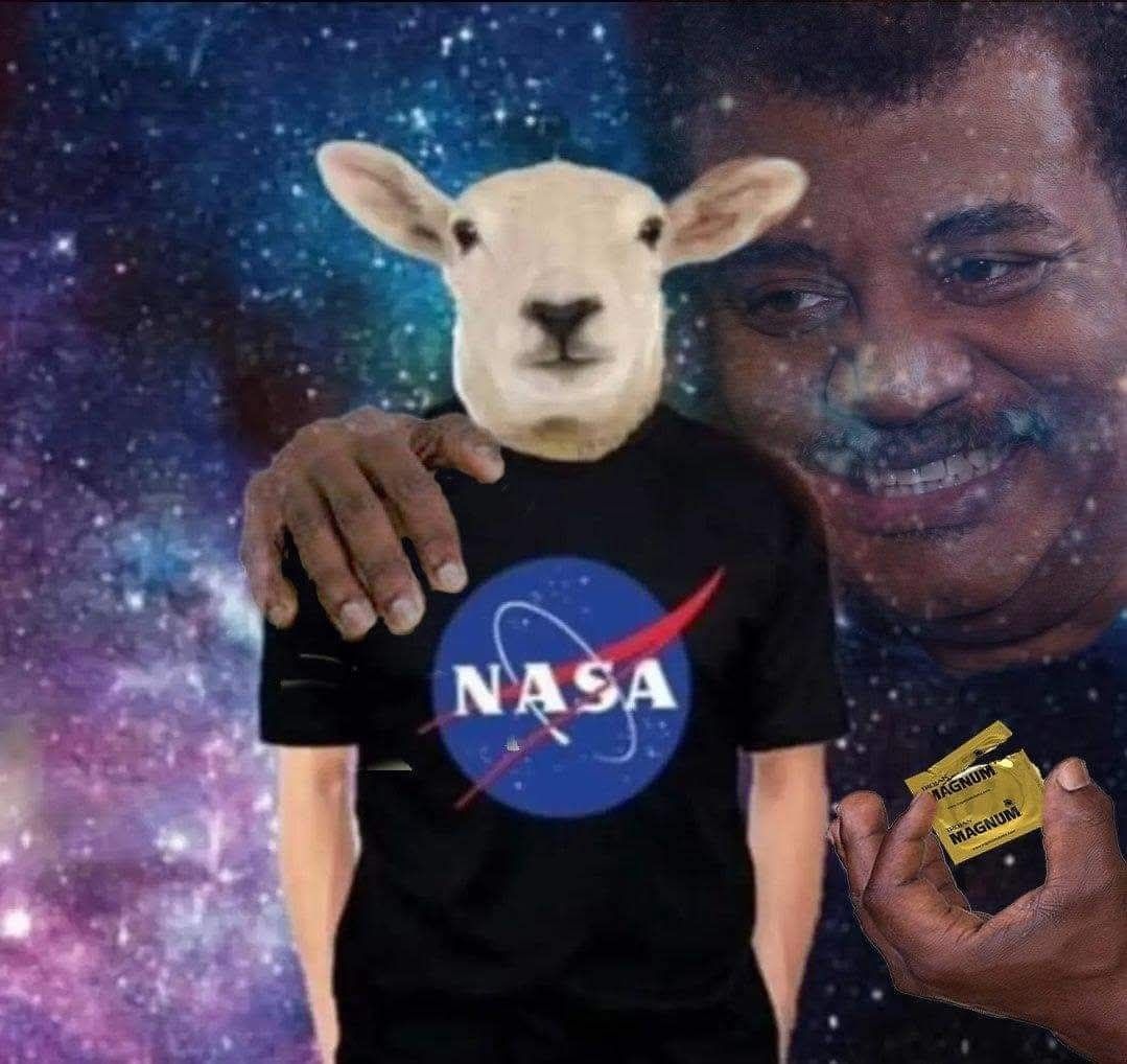 57e5adc7-573b-4f85-852c-30e0d01dca8b