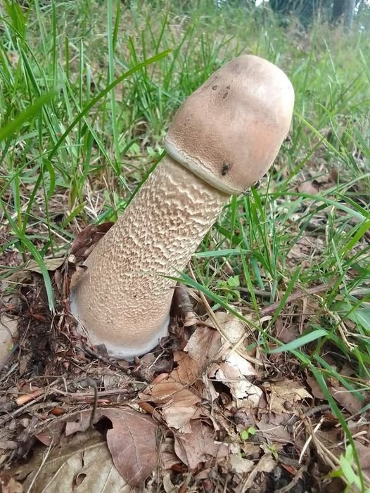 b3616865-1555-4ad9-a708-f9f5acc57baa