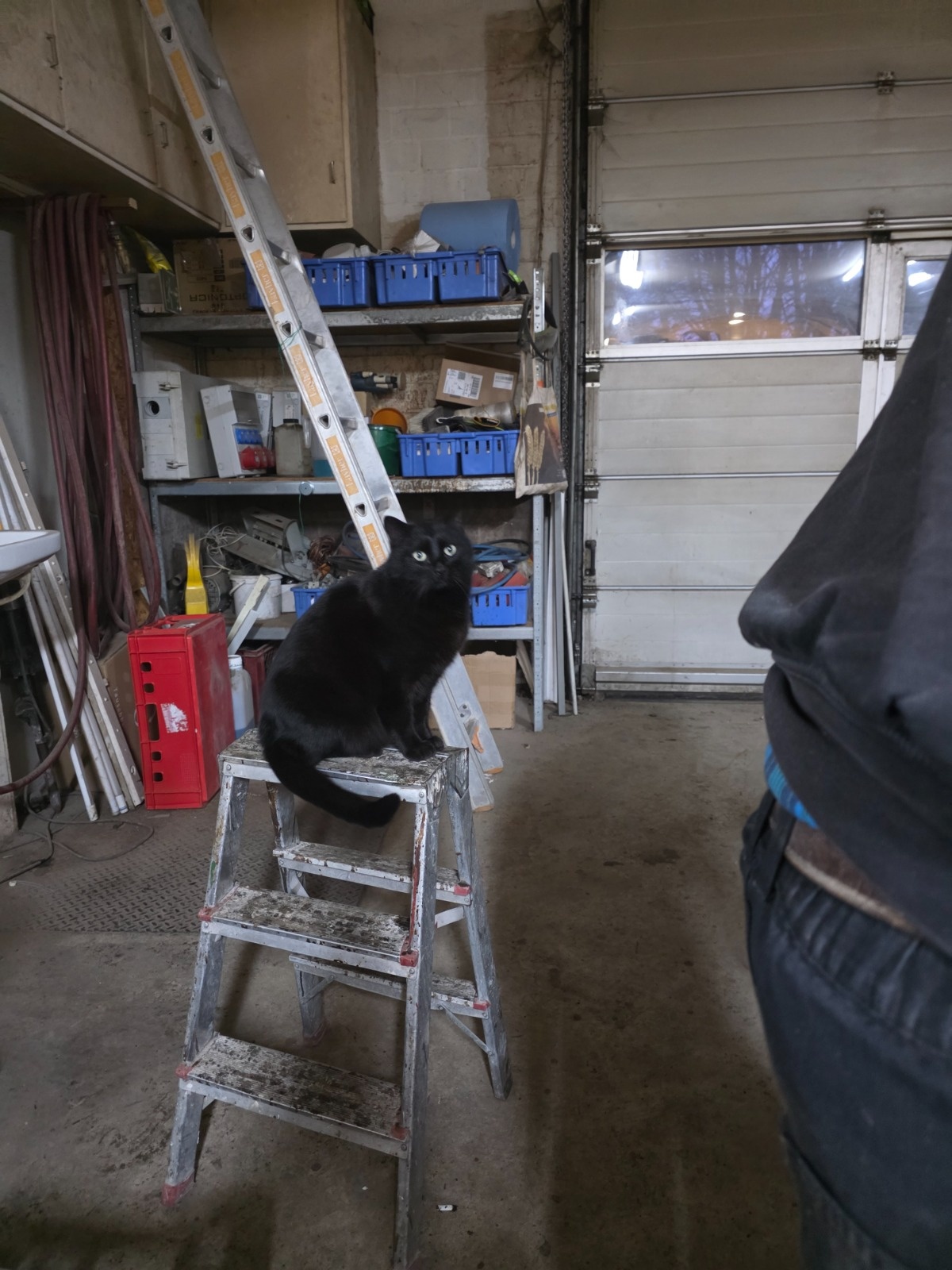 6d775fa7-6898-41fb-9d41-78dfa23fef95