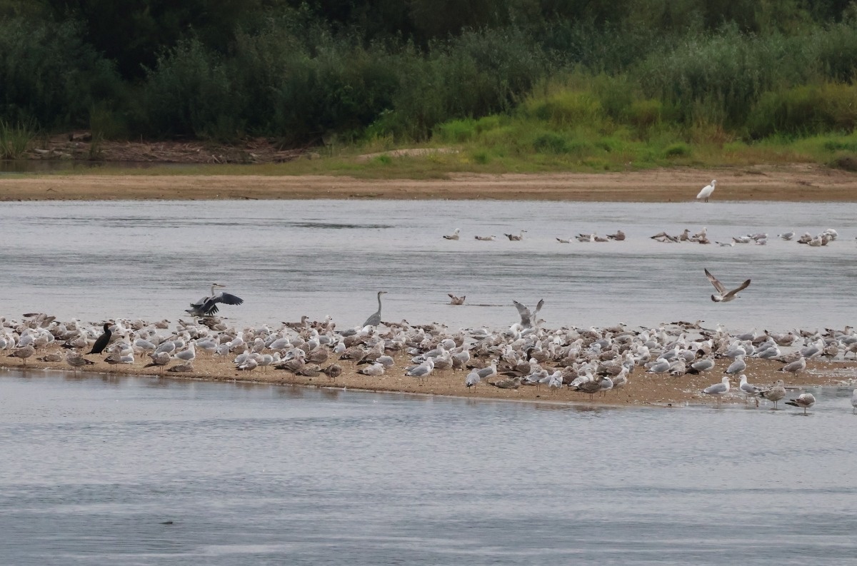 69657306-36e9-4931-a25b-12c92ec12278