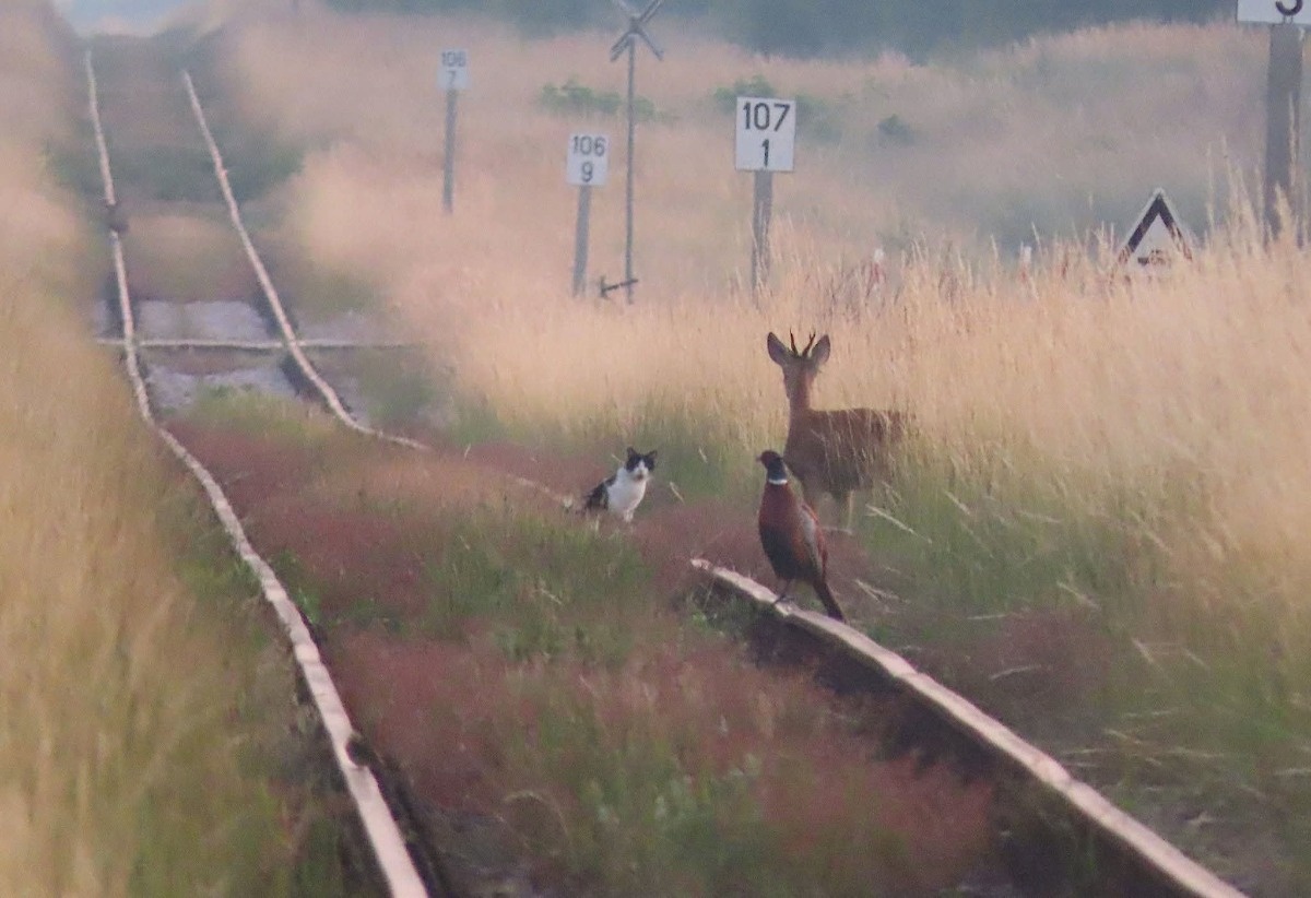 a3c5f762-b0f3-4134-8fa8-c0bb148bed9e