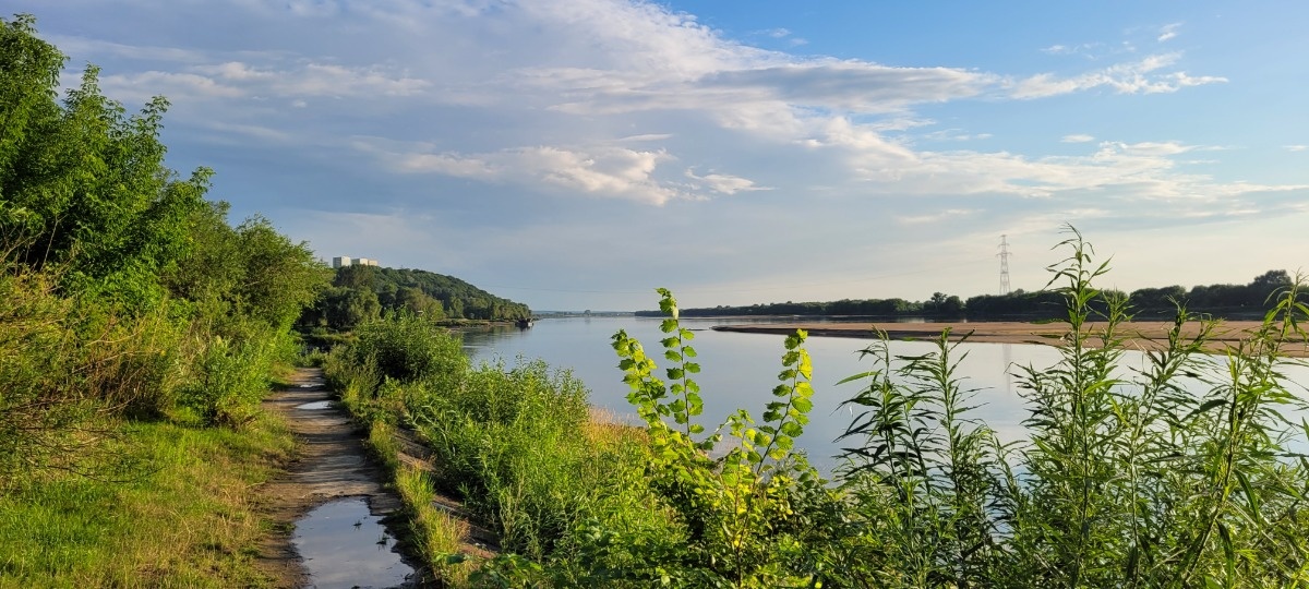 d62573fb-dfb1-4e70-b6fe-f32040d4c7d5