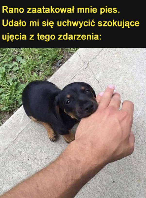 852a2f62-81e8-4f89-a5e5-38c2f93bdfd5