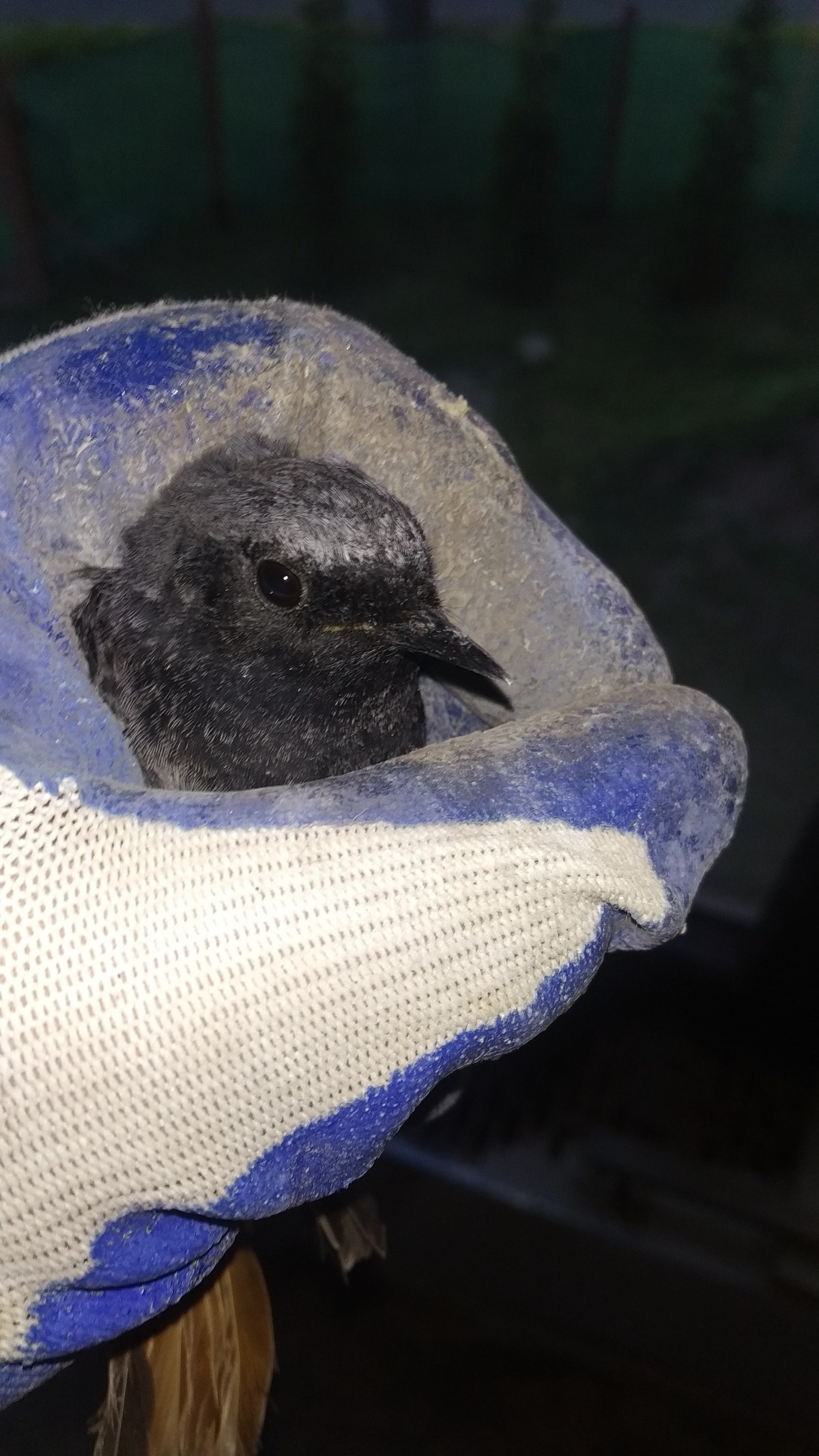 9f1b84d4-8576-44c1-8174-357182fd9c2b