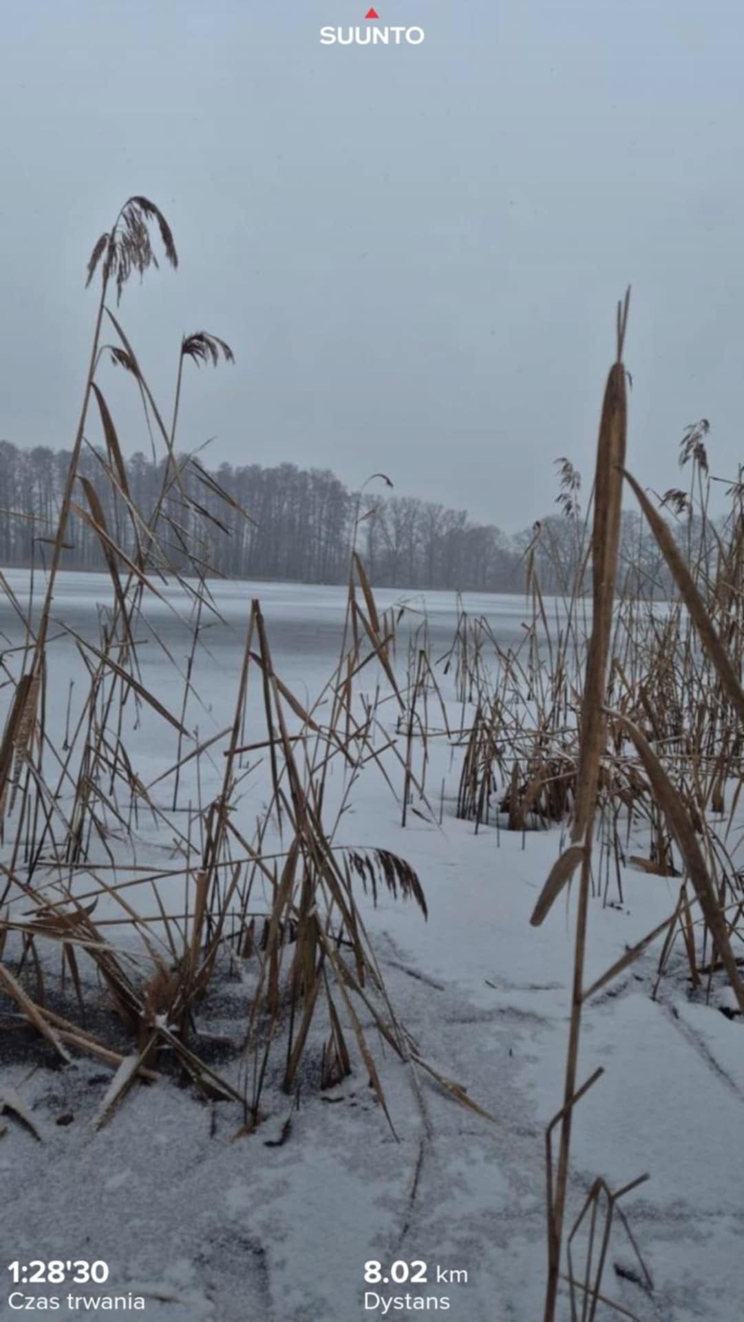 3a03684b-0689-4251-8710-3c3d33d855b7