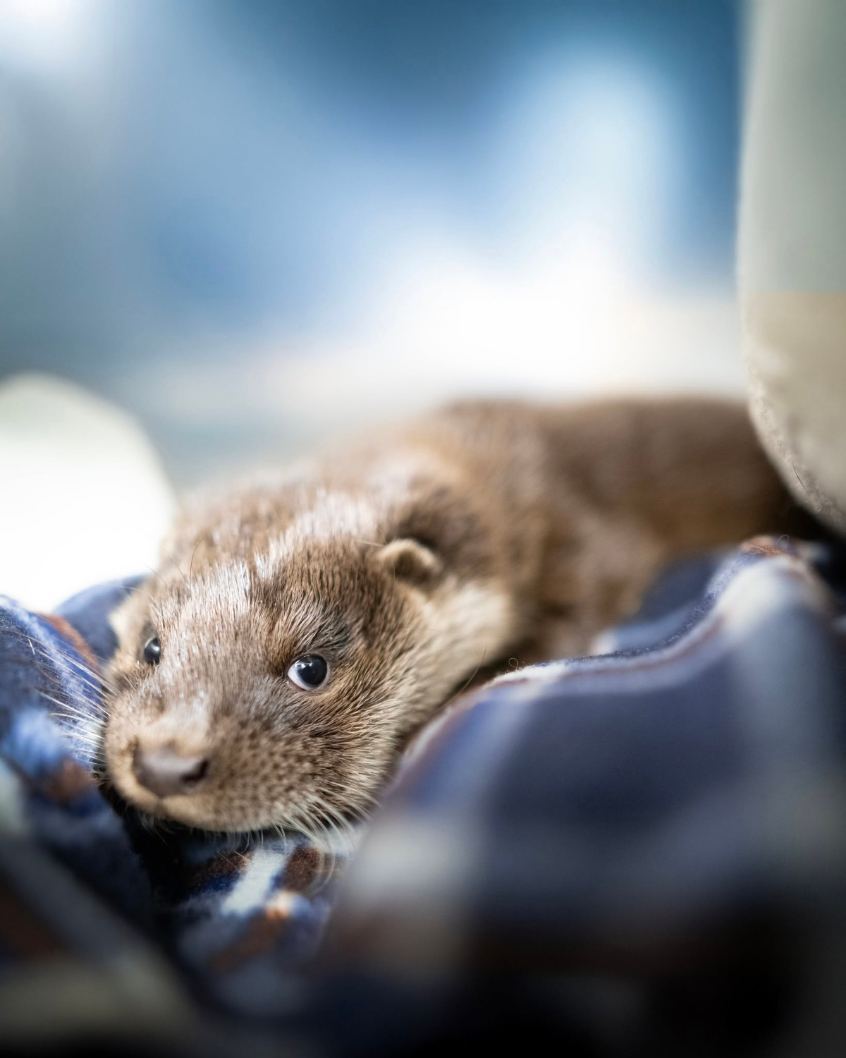 69c6c3e6-5da3-46f5-aa20-bdb9296f8776