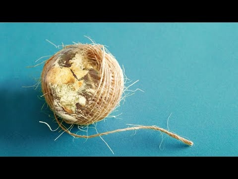 Emergencja - planetarna inteligencja - ewolucja umysłu ludzkiego