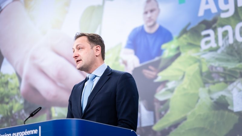 Wizja KE dla rolnictwa: Nacisk na zachęty, mniejsze obciążenia środowiskowe