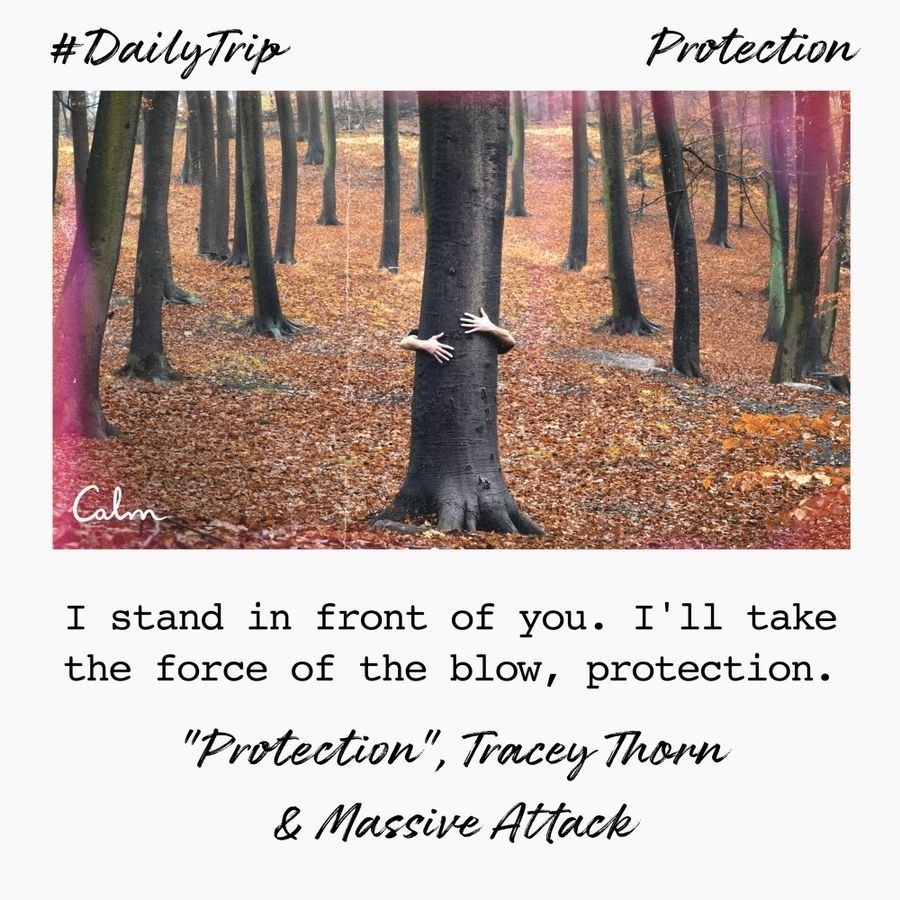 522aa814-68ab-4efc-b0b1-80be8bfa332d