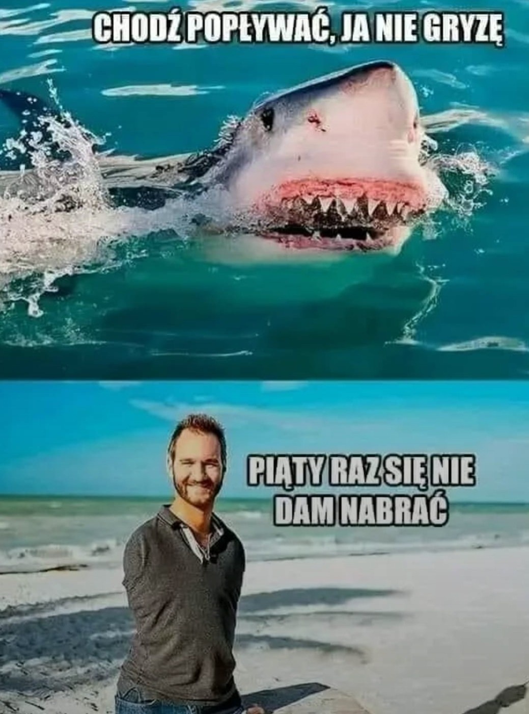 450f0286-8fc2-4385-bdba-0ccb05392bf9