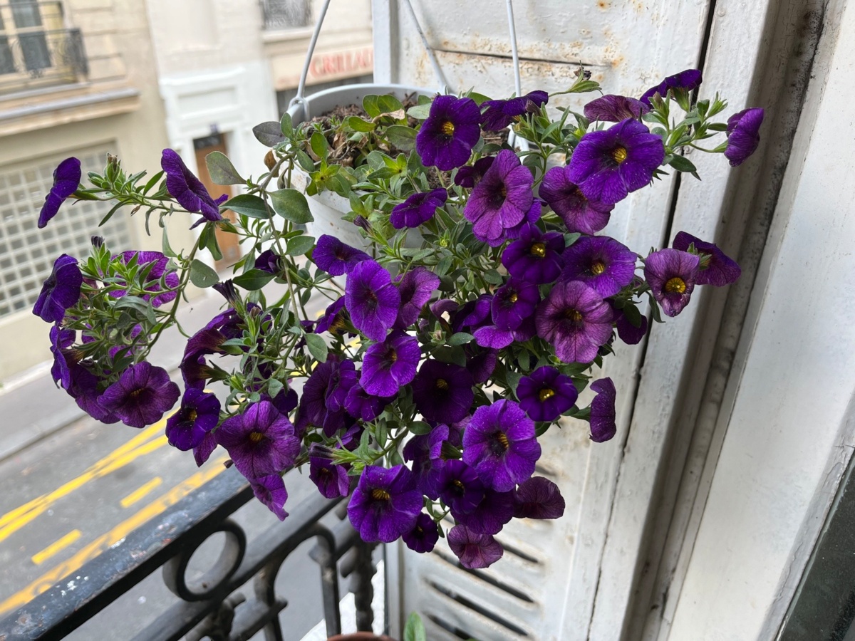 9d22d0f7-b194-4ff8-87b3-310e0a2cdaee