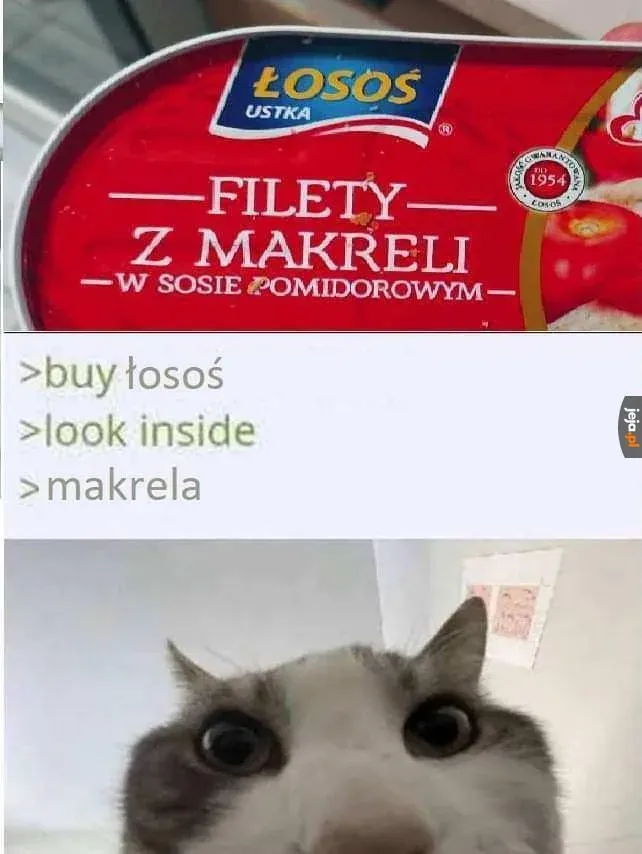 a0ba107f-56ec-4c8c-8101-a570e0b0d94f