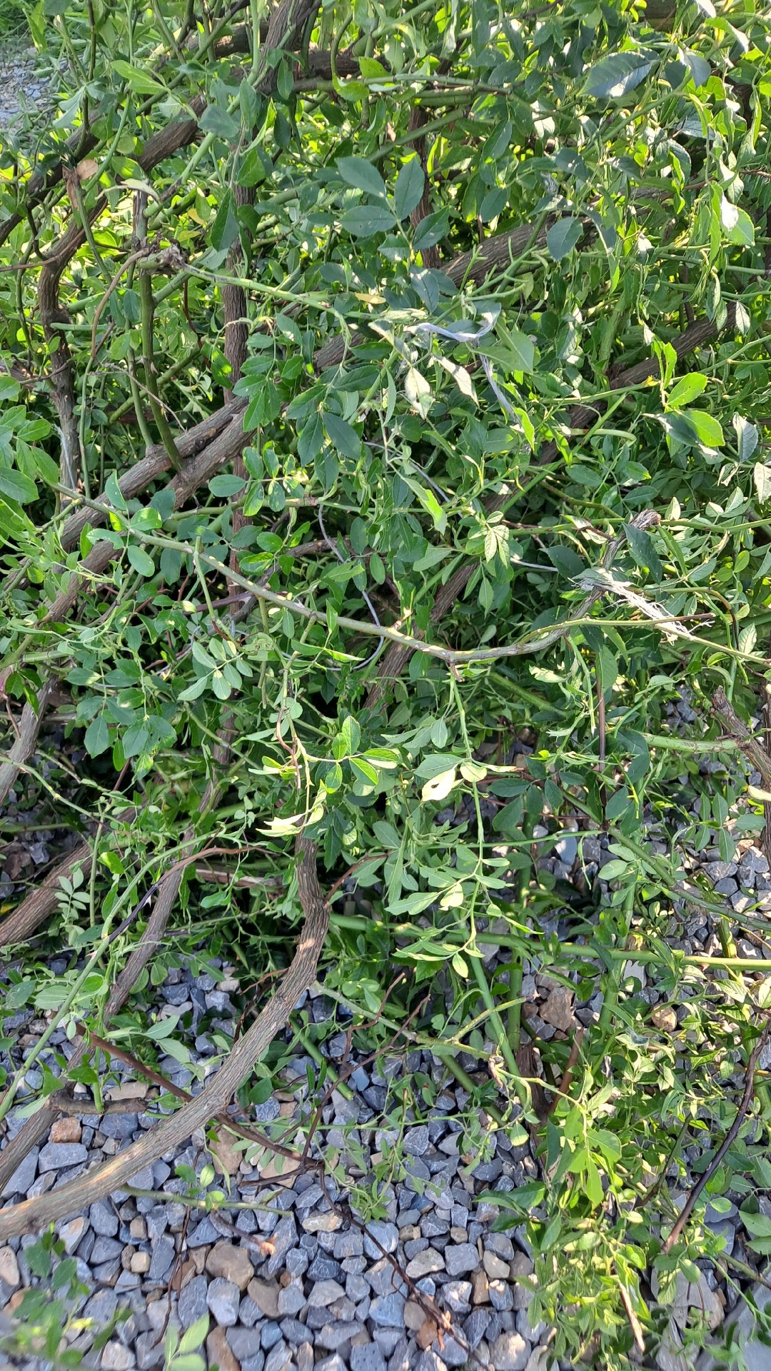 11f1b1db-f6a9-458b-aa43-2daf60199969