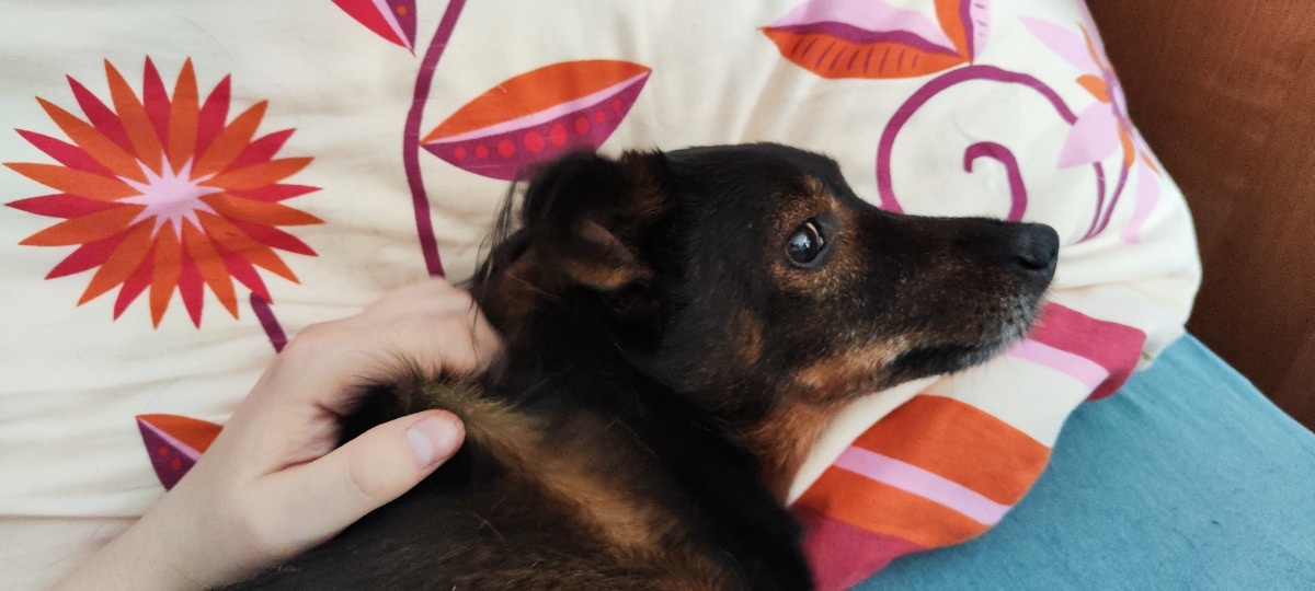 adeb4d9e-05d3-42ae-b52e-6cdaf448950f