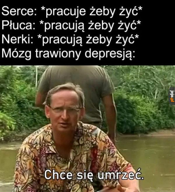 064ccf7d-2a0f-40c8-8f74-9dbb34286fe3