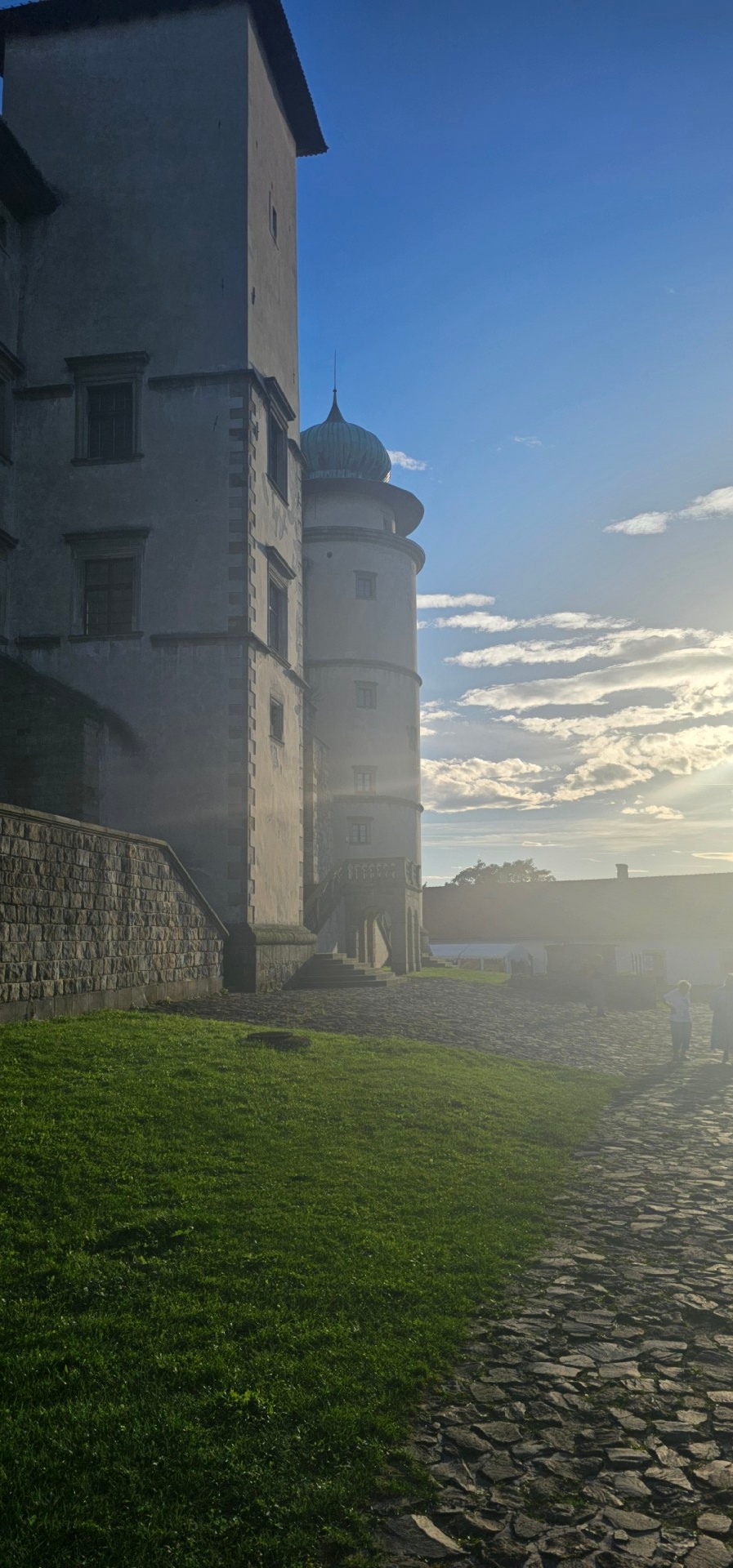 8a9eea9c-597e-462b-839f-9d08fa4fafa2