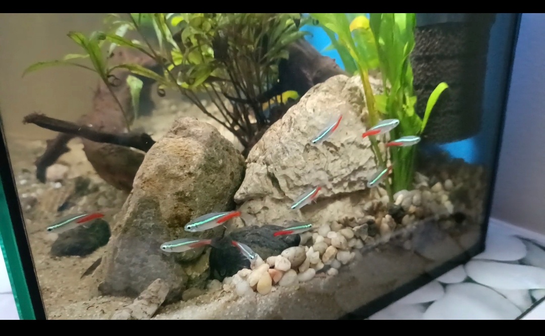 a538d89c-144e-4e61-b546-4db1cc1ad0de