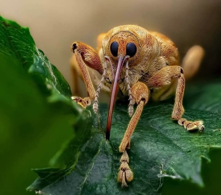 1f935cda-3d63-4e58-92b0-b686a7a3d17e