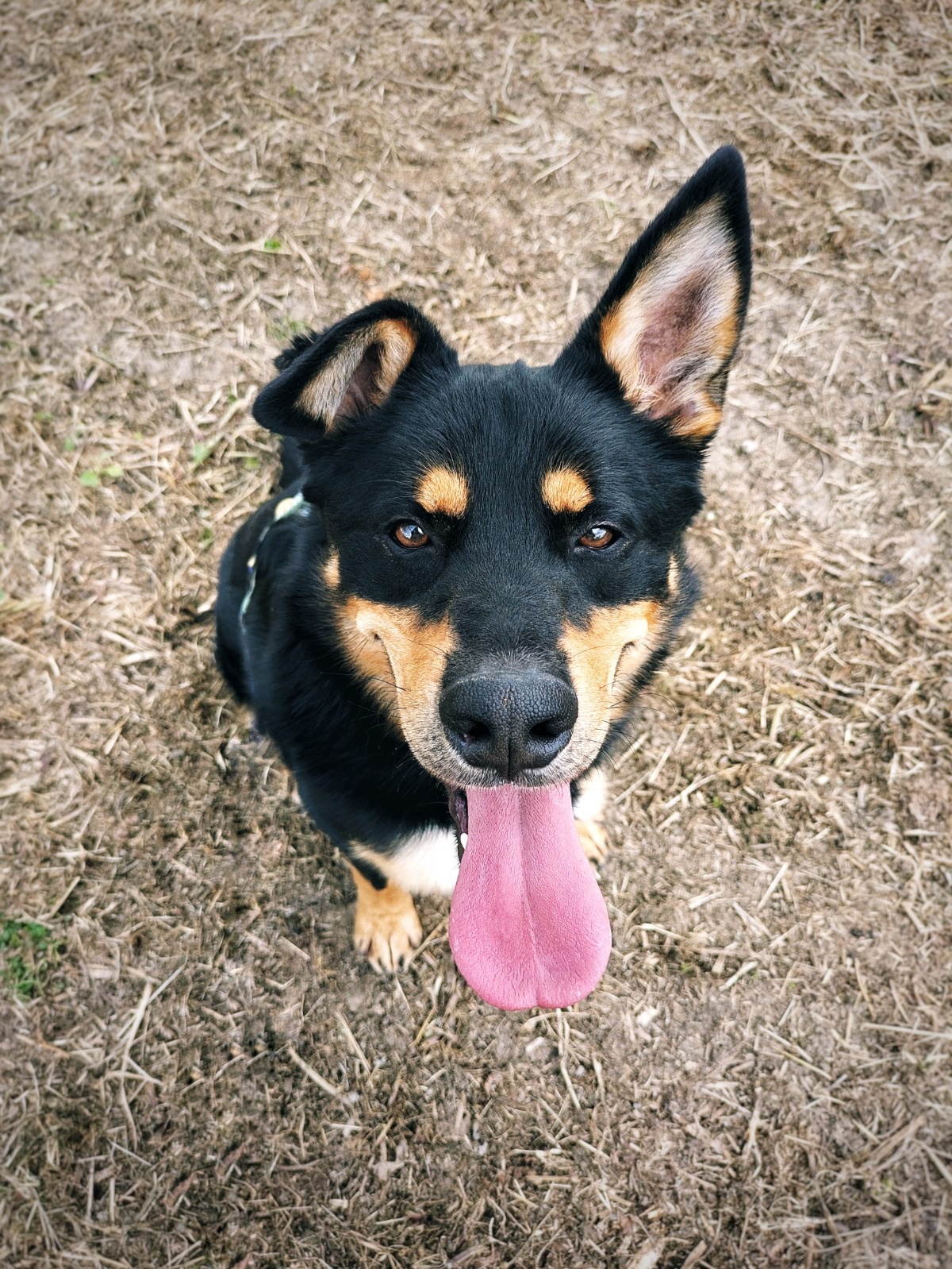 9d219752-7f6c-4095-8439-719f384d2fb2