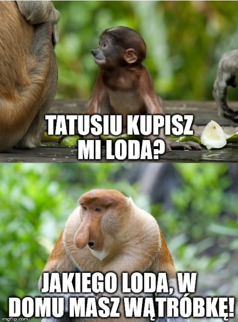 8da74f83-001a-468e-b1ef-8360d284252c