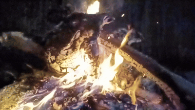 1950615a-2c4e-41b1-b202-2dc44bf4f253