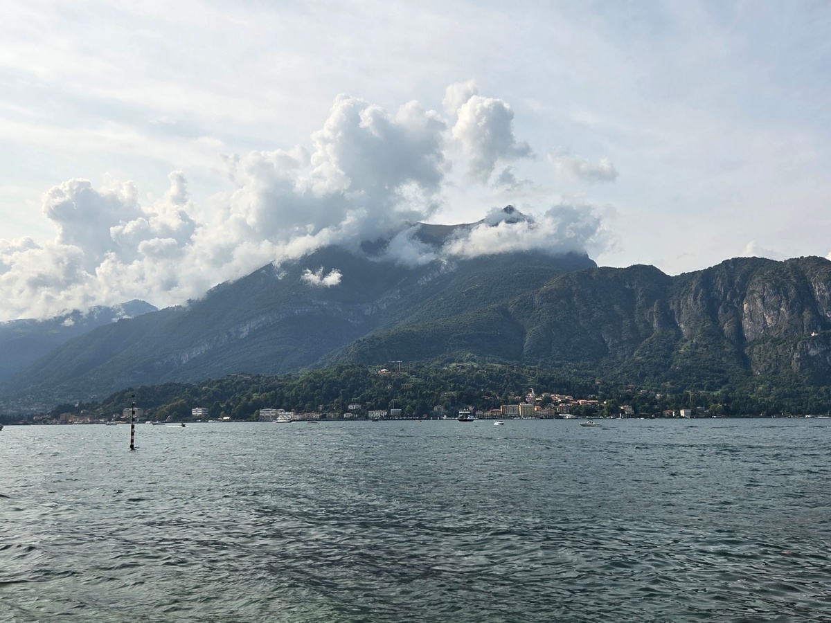 bd7c2fcd-929e-4e86-a93c-abd066eb091c