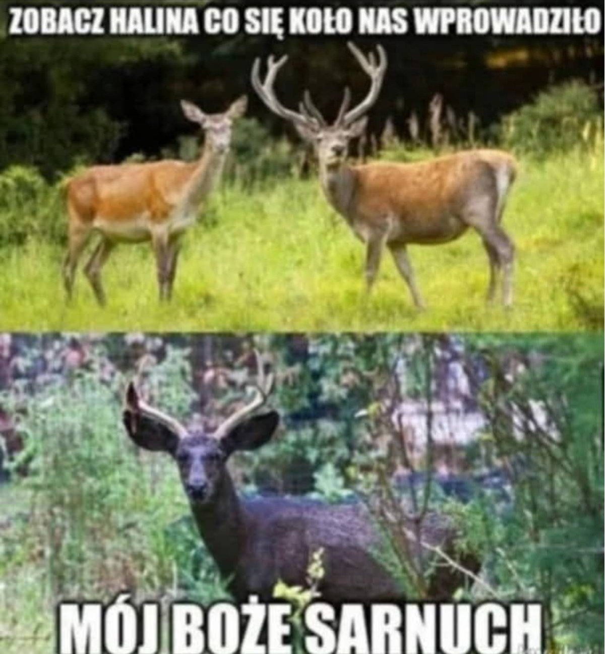 68bcaadb-947c-4270-8cb5-63c4576addcc