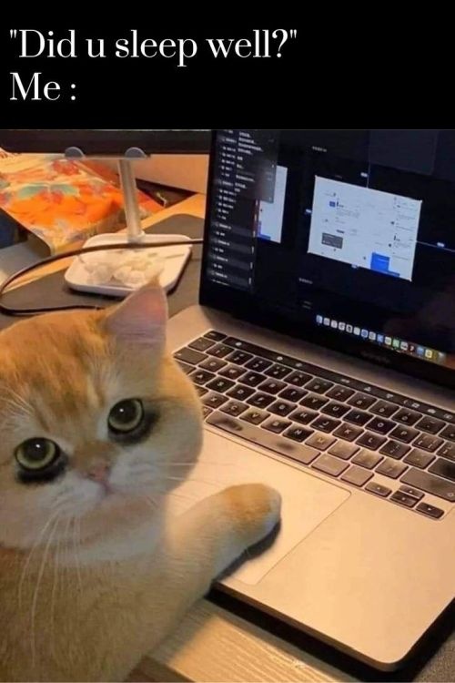 74f484ac-6cf5-4f6f-b12b-36c82d3d7037