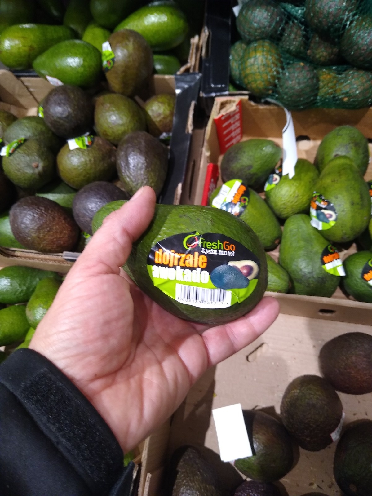 d4d281de-1a1e-4607-be2d-cde5687e3183