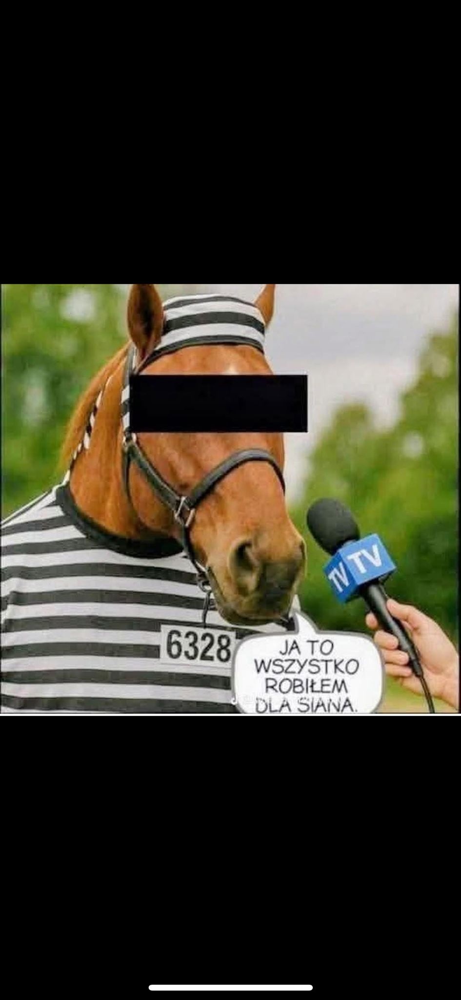 d31bd817-f197-427d-b79e-a05fb662fde0