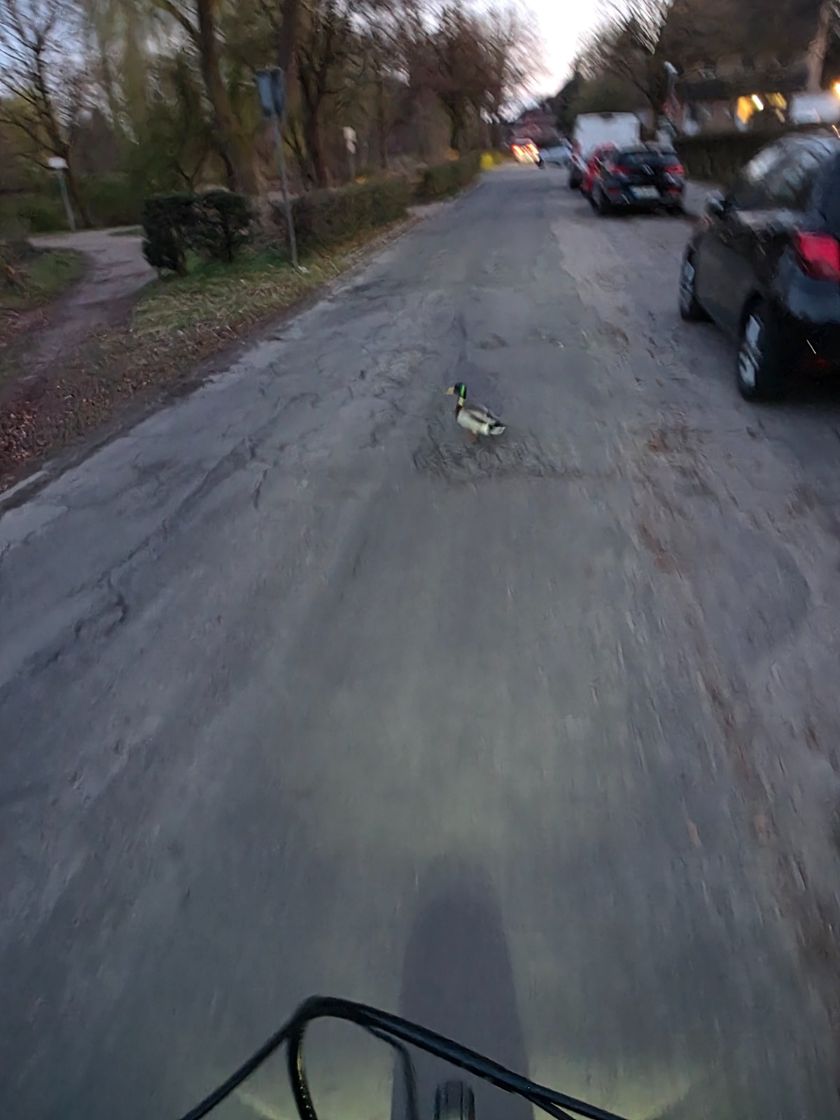 2a05cb1d-4132-401a-a1ce-7604f4a5446e