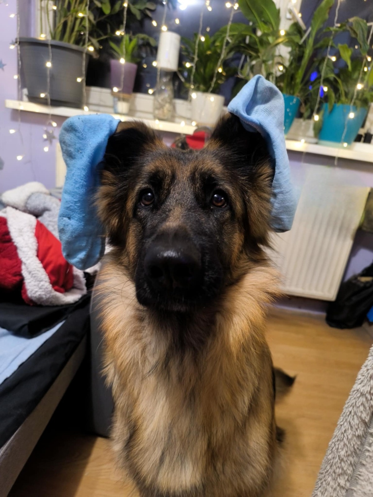 9d83439c-b982-4f75-99da-7673c2679e07