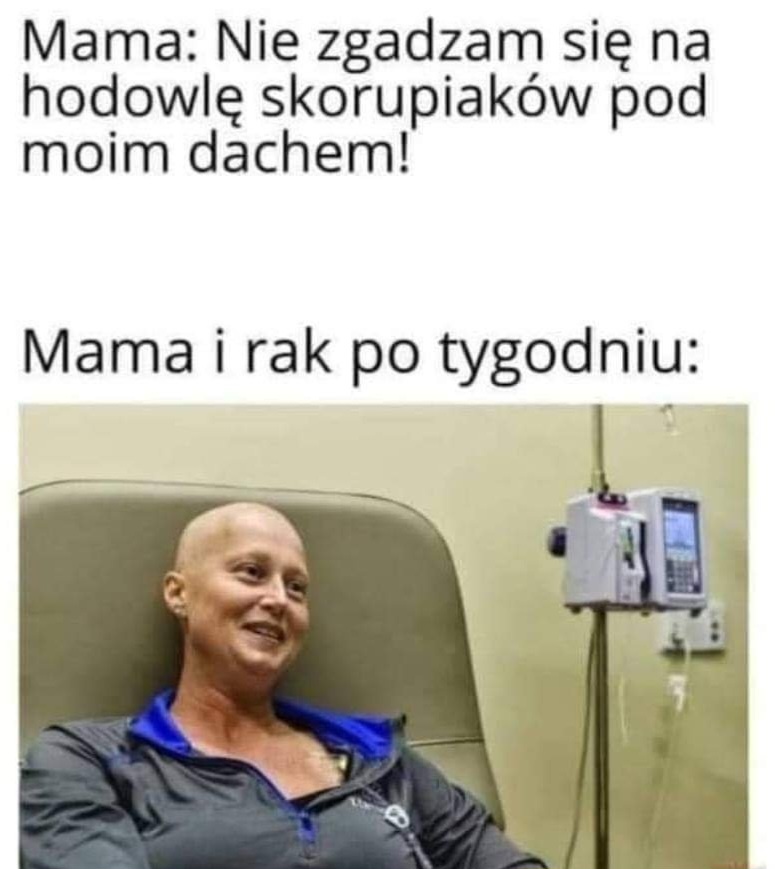 40596ed7-236c-4a53-9d50-66d98fab8fa1