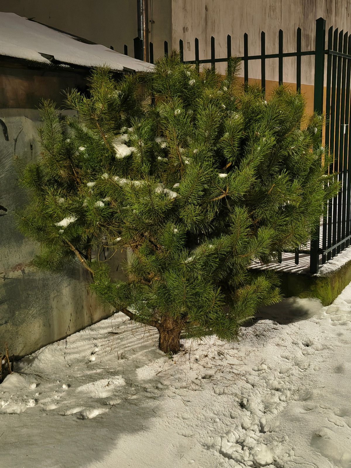 ac21db69-cef8-4892-a2b6-5dfece40d796